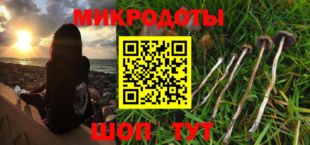 Псилоцибиновые грибы Cubensis  Вход с VPN  Люберцы 